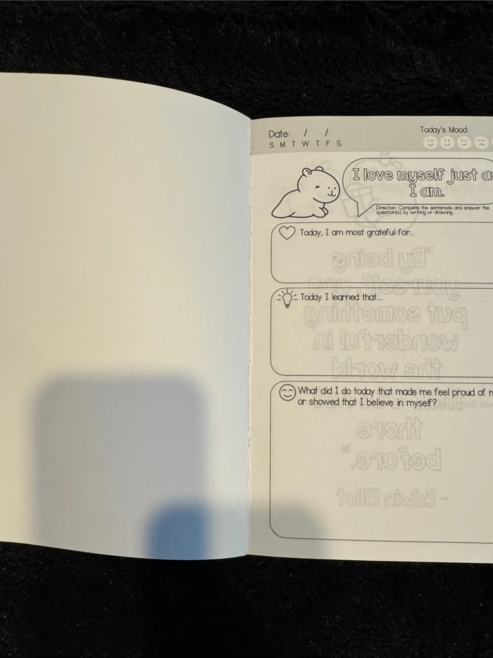 Daily Self-Love & Gratitude Journal for Kids Kawaii Capybara Theme